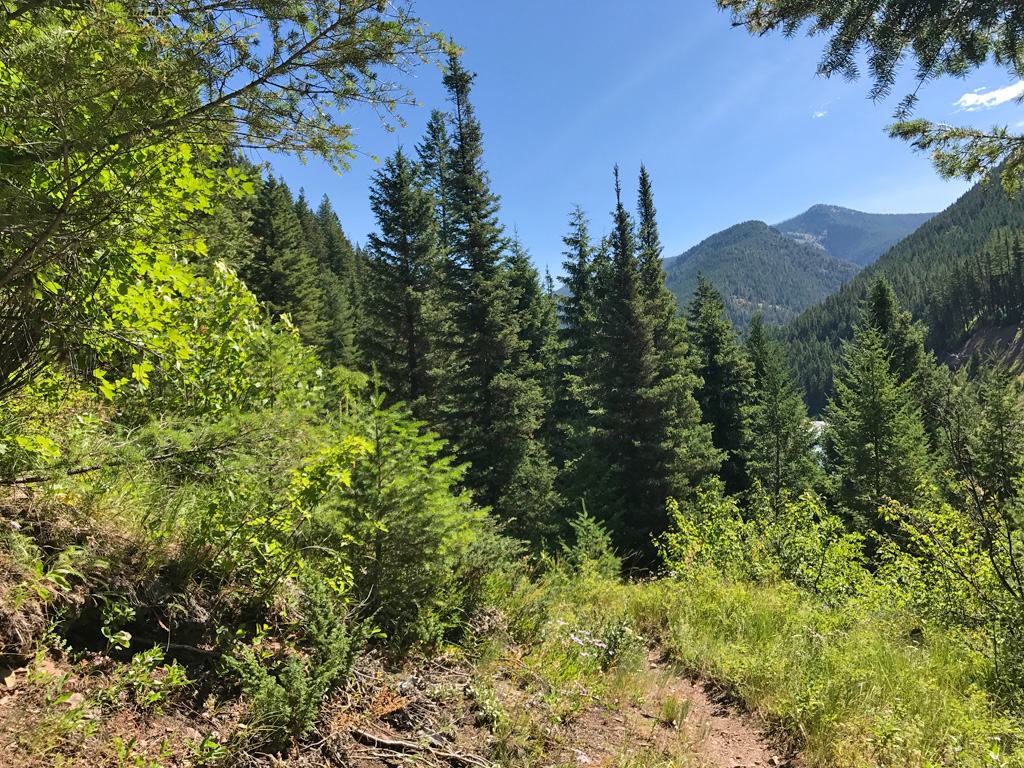Photo of a hiking trail.