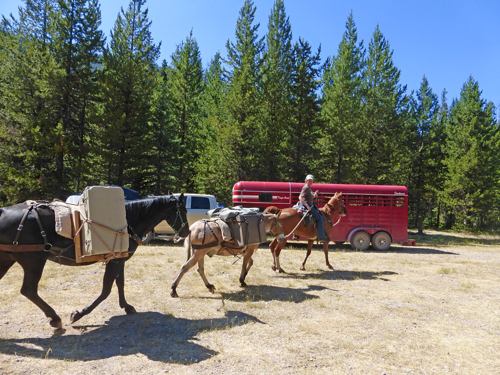 Photo of horse packers