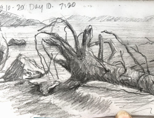 Anchored Roots sketch