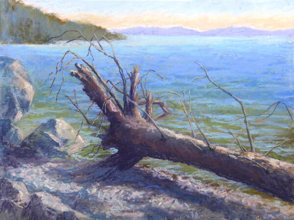 Photo of a pastel painting of a log on Flathead Lake