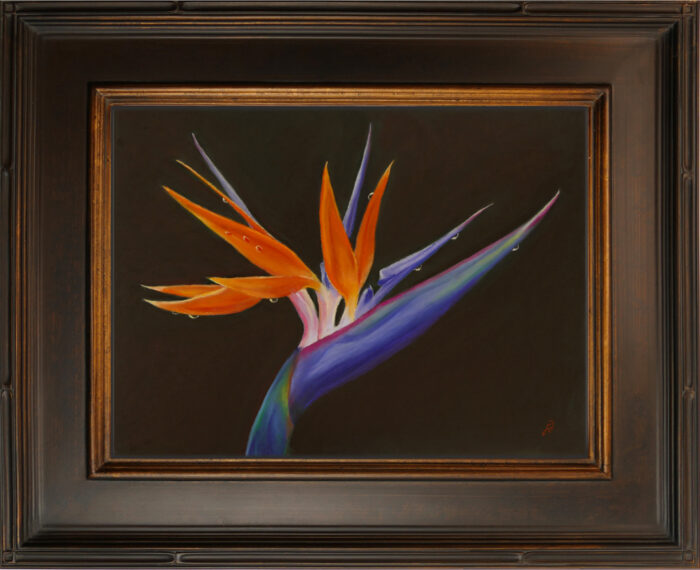 Pastel painting of a Bird of Paradise flower with raindrops with frame.