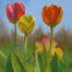 Photo of a painting of tulips