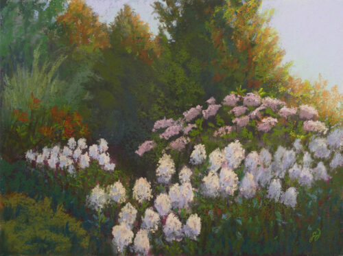 Photo of a painting of white flox.