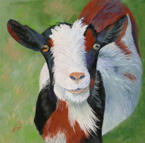 Photo of a pastel painting of a sweet goat.
