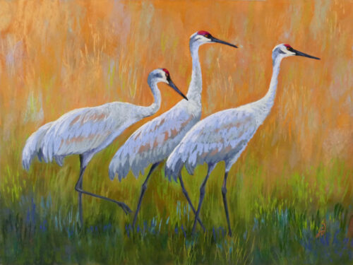 Photo of a pastel painting of three Sandhill Cranes.