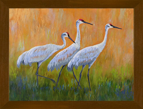 Photo of a pastel painting of three Sandhill Cranes with brown frame.