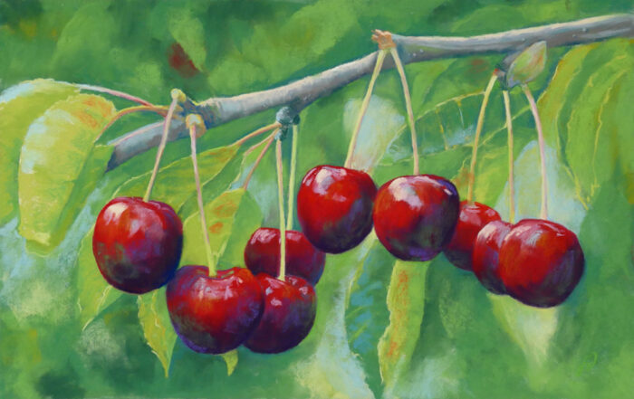 An original pastel painting of cherries hanging on a branch.