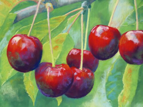 A detail of a pastel painting of cherries hanging on a branch.